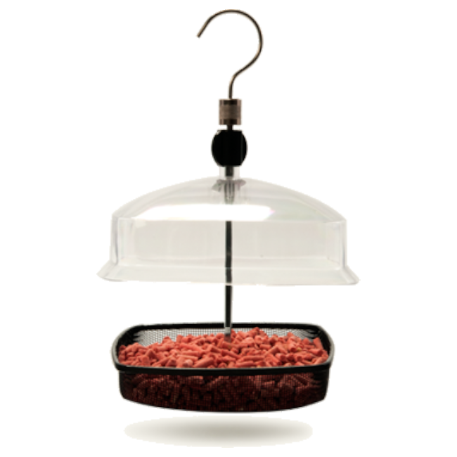 Mealworm To Go® Domed Feeder
