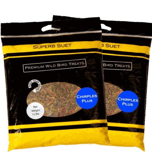 Superb Suet® Chirples Plus Mealworms 2 x 15 lbs. Resealable Bags