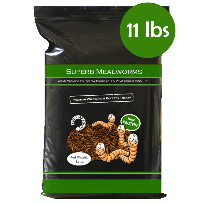 Superb Mealworms® Berry Flavor 11 lbs. Resealable Bag