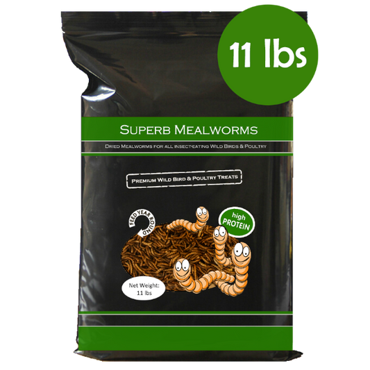 Superb Mealworms® Cranberry Flavor 11 lbs. Resealable Bag