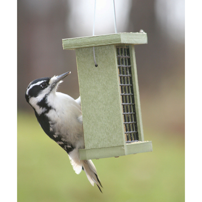 Green Solutions Single Suet Hanging Bird Feeder