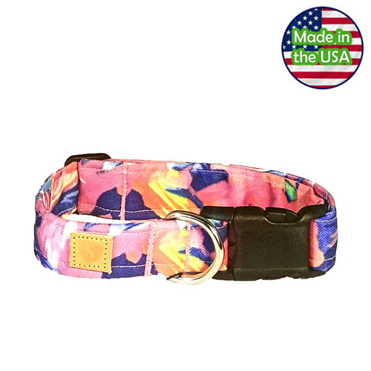 Alpha Pack Unleashed Waterproof Dog Collar - Hawaiian Breeze Large