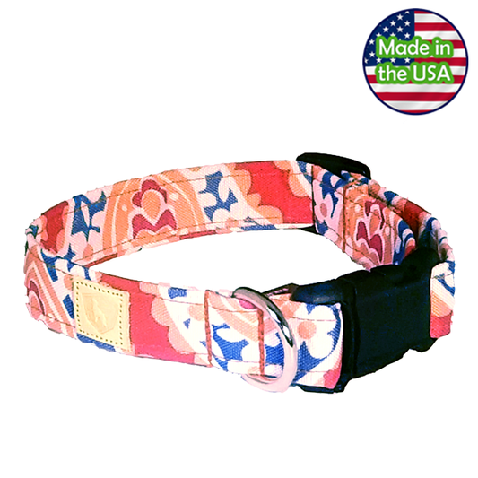 Alpha Pack Unleashed Waterproof Dog Collar - Coral Reef Large