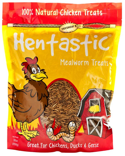 Hentastic® Mealworm Treats