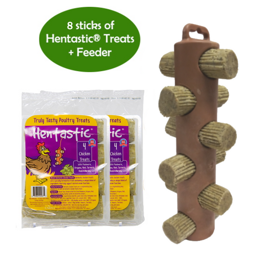 Hentastic® Hanging Chicken Treats Feeder Bundle