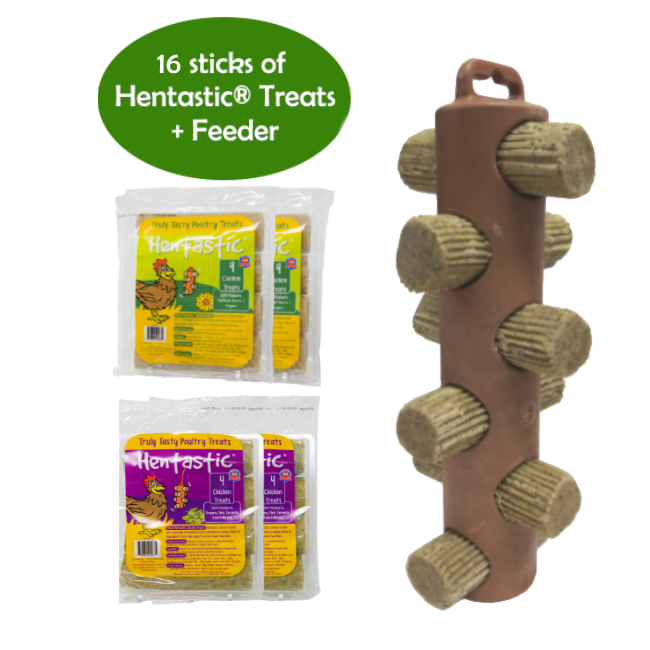 Hentastic® Hanging Chicken Treats Feeder Bundle