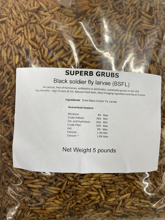 Superb Grubs 5 Pound Bag