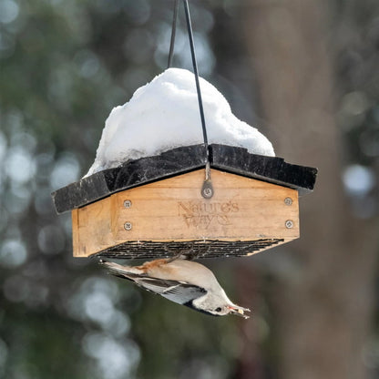 Upside-Down Suet Feeder - Premium Cedar