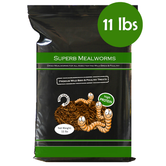 Superb Mealworms® 11 lbs. Resealable Bag